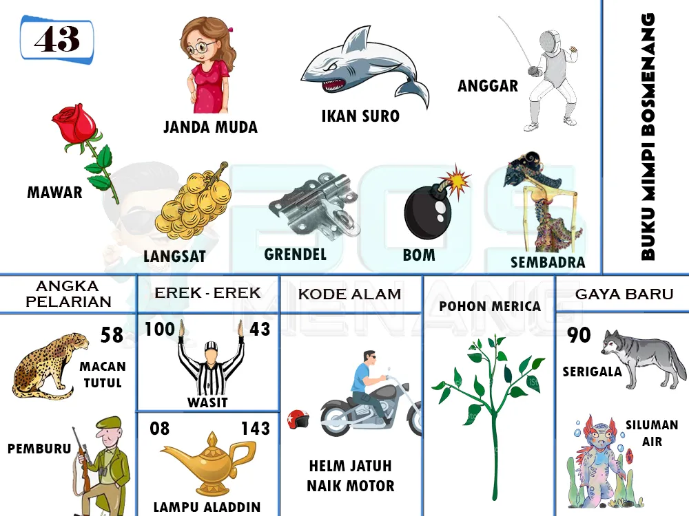 buku mimpi erek erek togel 43